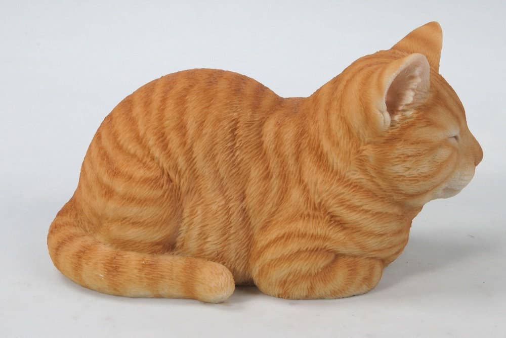 Orange Tabby Cat Sleeping