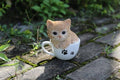 Pet Pals: Teacup Kitten Orange Tabby Statue