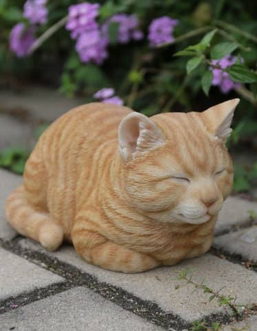Orange Tabby Cat Sleeping