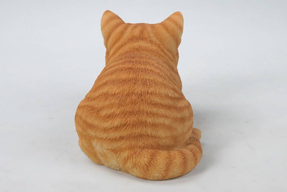 Orange Tabby Cat Sleeping