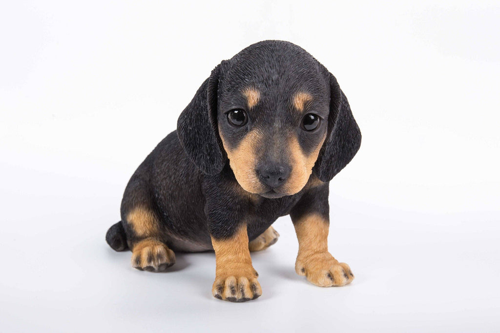 Pet Pals: Dachshund Puppy Statue