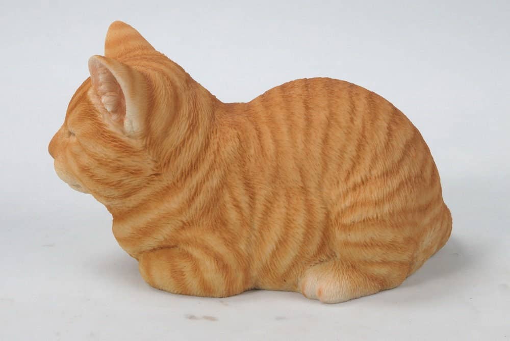 Orange Tabby Cat Sleeping