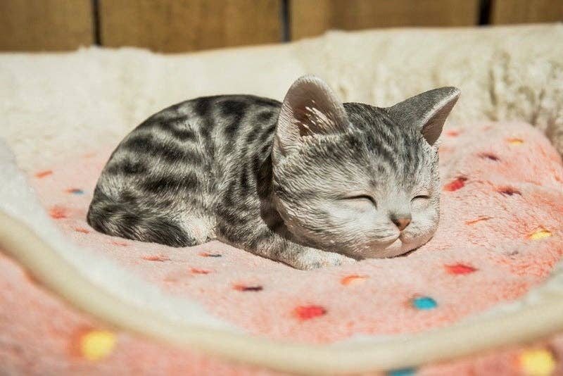 Grey Tabby Kitten Sleeping Decorative Figurine