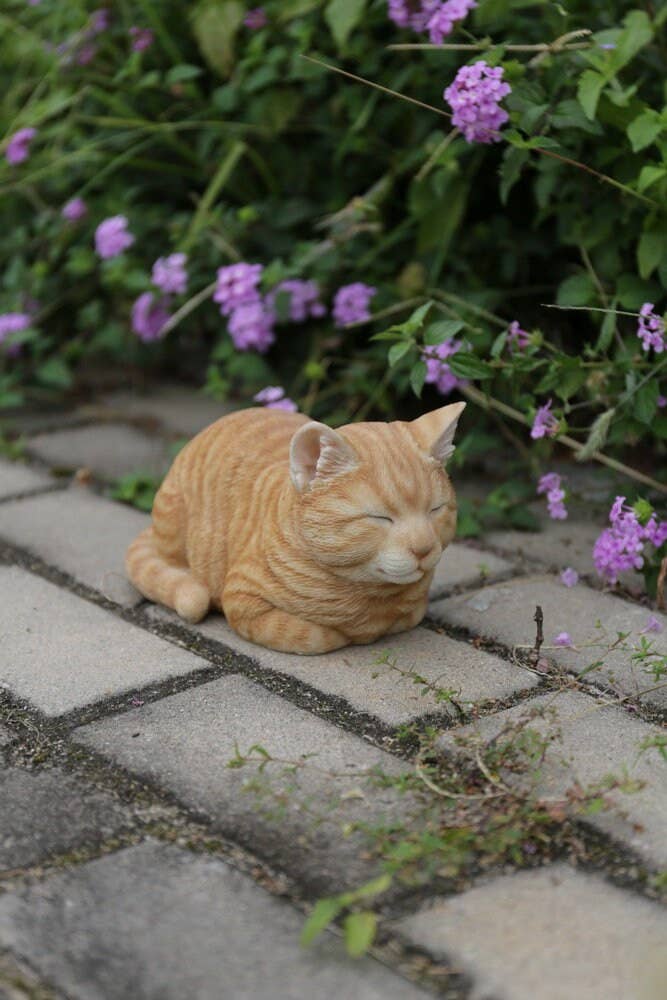 Orange Tabby Cat Sleeping